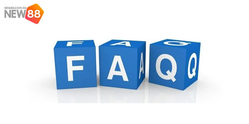 Câu hỏi thường gặp liên quan đến liên hệ New88